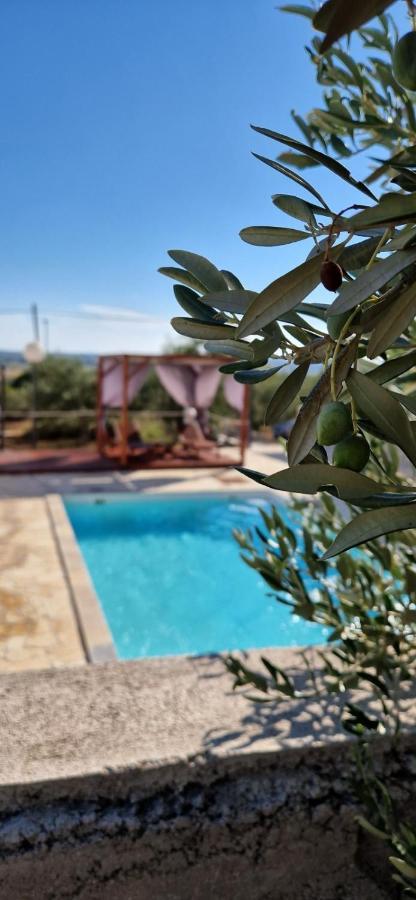 Holiday House Da & Do Pakoštane Zewnętrze zdjęcie